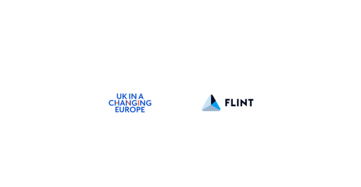Flint in the news template (3)